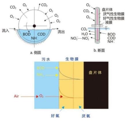 QQ截圖20210323170952.jpg